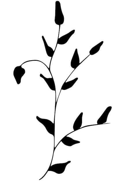 Handgezeichnetes Doodle-Blatt Schwarze Skizze auf weißem Hintergrund