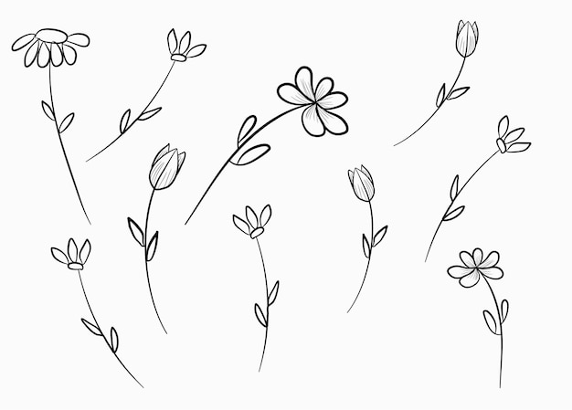 Vektor handgezeichnetes doodle mit blumenlinien