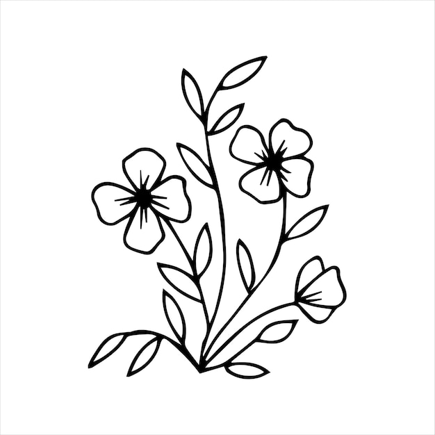 Handgezeichnetes doodle-pflanzenelement für florales designkonzept