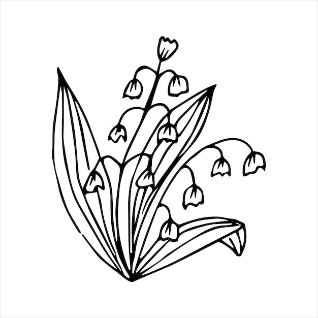 Handgezeichnetes doodle-pflanzenelement für florales designkonzept