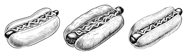 Handgezeichnetes Hotdog-Set