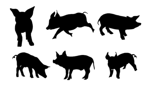 handgezeichnetes schwein-silhouette-set