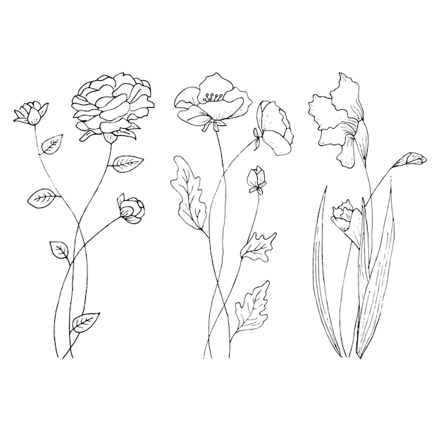Handgezeichnetes Set, wenn wilde Blumen Feldblumen Liner