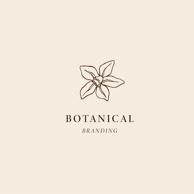 Handgezeichnetes vanille-logo botanische illustration