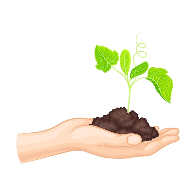 Handhalten von Boden und grüner Pflanze als Naturschutzvektor-Illustration