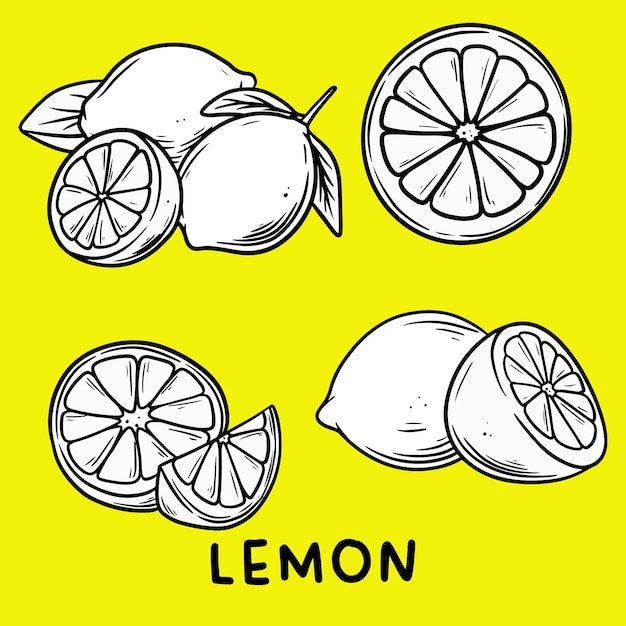 Vektor handzeichnung früchte zitronen-ikone