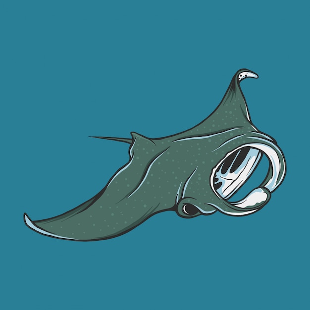 Vektor handzeichnung vintage manta illustration