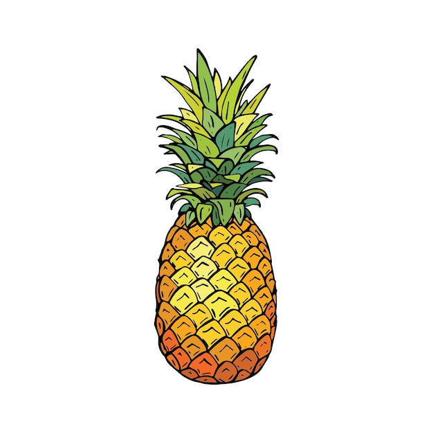 Handzeichnungsvektorillustration der ananas.