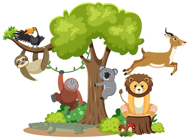 Harmonisches Zusammenleben von Wildtieren im Wald