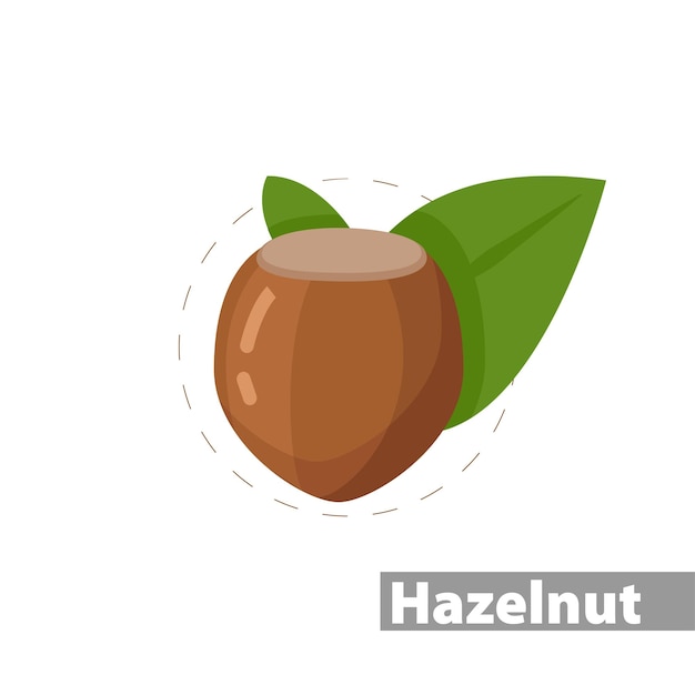 Haselnüsse mit blättern farbsymbol isolierte vektorillustration