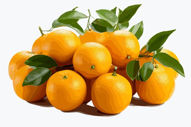 Vektor haufen reifer mandarinen isoliert auf weißem hintergrund