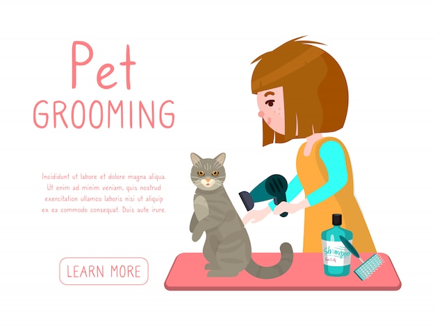 Haustierpflege-geschäft. groomer mädchen trocknet die katze nach dem waschen. werbebanner des pflegesalons für haustiere.