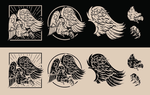 Vektor hawk illustration pack design