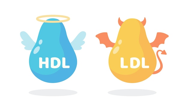 Hdl- und ldl-cholesterinkarikatur gutes fett und schlechtes fett im körper angesammelt