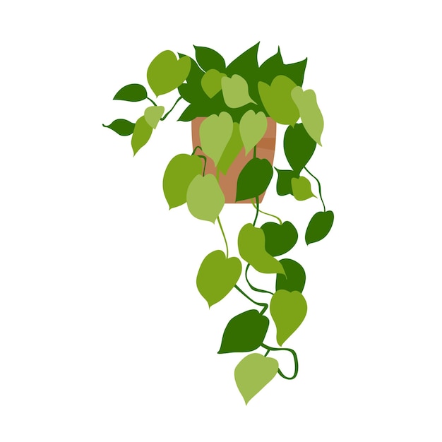 Vektor heimpflanze. topfpflanze getrennt auf weiß. eben. vektor-illustration.