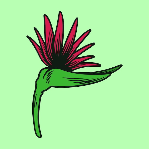 Heliconia handzeichnung vektorillustration tropische blumen