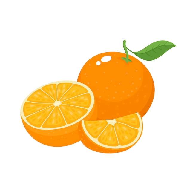 Vektor helle vektorillustration der isolierten organischen zitrusfrucht der bunten saftigen orange