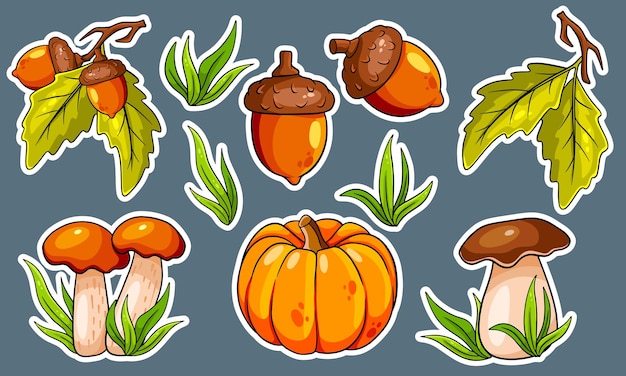 Herbst eingestellt. sammlung von herbstartikeln. aufkleber. pilze, kürbis, eicheln, gras, eichenblätter. cartoon-stil. vektorillustration für design und dekoration.