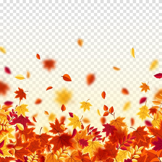 Herbst-fallblätter natur-hintergrund mit rot-orange-gelbem laub fliegende blätter saisonverkauf