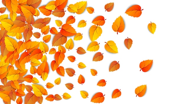 Herbst goldene Blattrahmenschablone Baum gefallene Herbstblätter isoliert auf weißem backgroun