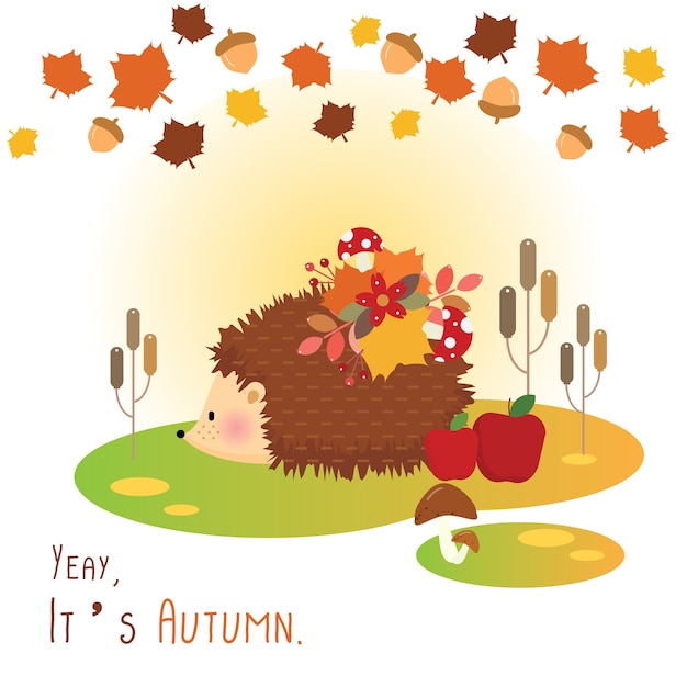 Herbst igel