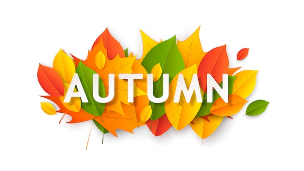 Herbst saisonale Banner