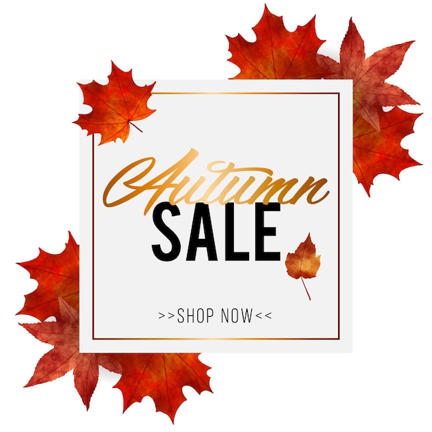 Herbst Sale Aquarell Stil