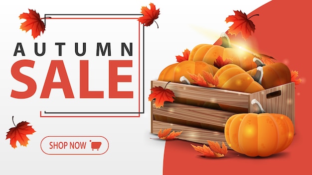 Vektor herbst sale banner vorlage