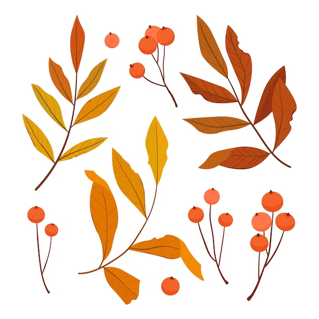 Herbst Set von bunten Blättern und Beeren Eberesche. Illustration.