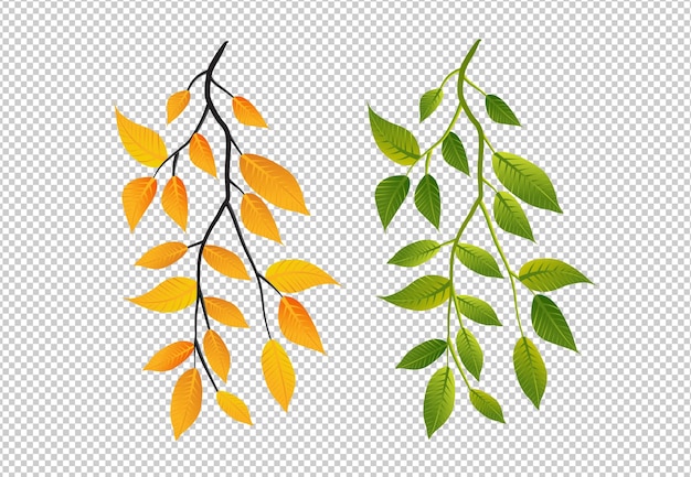 Herbst- und Frühlingsblätter auf Zweigen