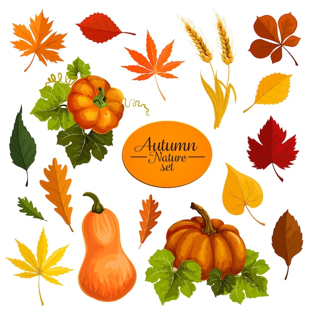 Herbst-Vektor-Icons von Laubfall und Ernte