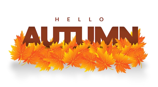 Herbst verlässt Hallo Herbst Banner Design