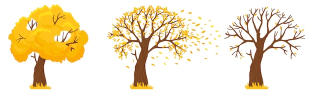 Herbstbaum. Gelbe Blätter fallen, Bäume mit gefallenen Blättern und orange Blättern fliegen Illustration