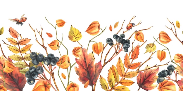 Herbstbeeren physalis chokeberry rowan blätter ahorn birke baumzweige und marionetten aquarell