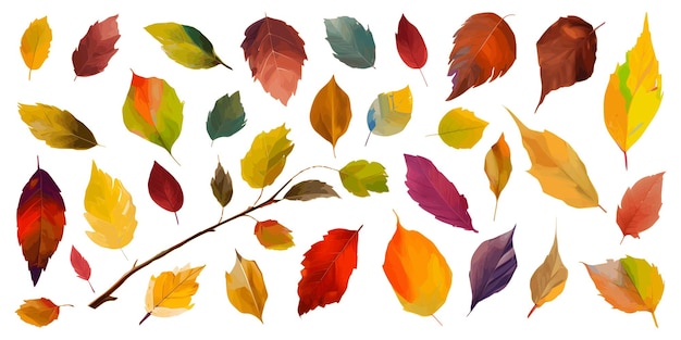 Herbstblätter auf weißem Hintergrund