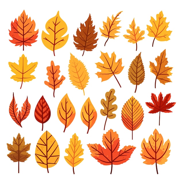 Herbstblätter isoliert auf weißem hintergrund, ahornblatt-vektorillustration, eps