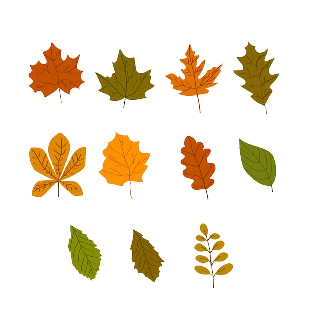 Herbstblätter