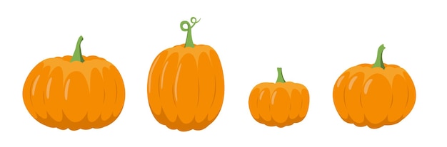 Herbstkürbis-set orangefarbener kürbis für herbststimmung isolierte vektorstock-illustration eps 10