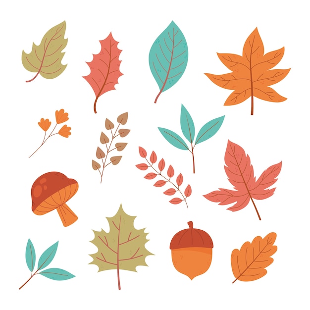 Herbstlaub ahornzweig laub natur icon set