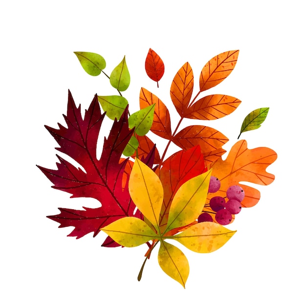 Herbstlaub handgezeichnete Vektor-Aquarell-Illustration