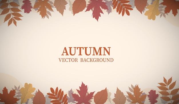 Herbstlaub oder Blatt- und Blumenlaub Vektorillustrationshintergrund