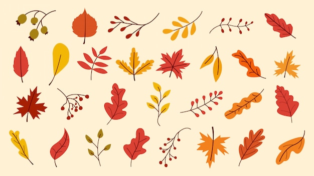 Herbstlaub-set, vektor-illustration, herbstlaub oder herbstlaub