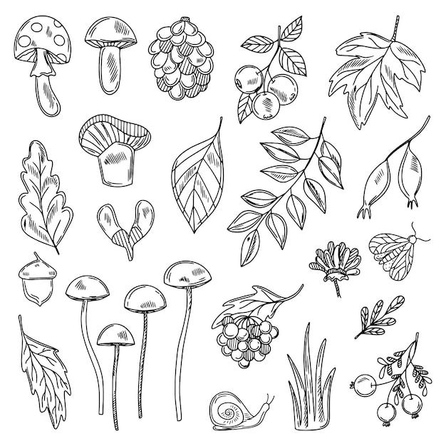 Herbstliche Reihe von Liniendesign-Elementen. Herbst-Erntedankfest-Kürbissaison-Vektorillustration