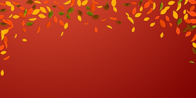 Herbstliches Herbstlaub. Rote, gelbe, grüne, braune chaotische Blätter fliegen. Buntes Laub des fallenden Regens auf fantasievollem rotem Hintergrund. Wunderschöner Schulverkauf.