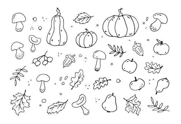 Herbstliches lustiges Set, von Hand gezeichnet. Vektor-Schwarz-Weiß-Doodles. Blätter, Kürbisse, Pilze, Äpfel