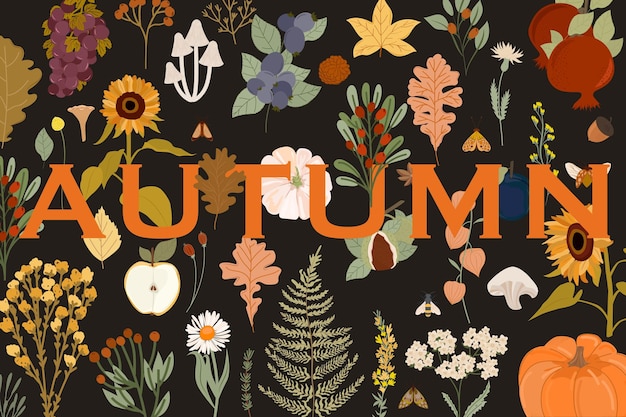 Herbstplakat herbstkarte botanische illustration