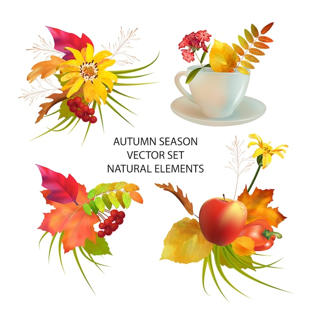 Herbstsaison-Sammlung von Herbstblättern und Naturelementen auf weißem Hintergrund