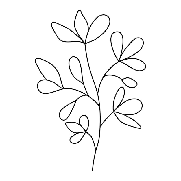 Herbstwald farn eukalyptus kunstlaub natürliche blätter kräuter im linienstil elegante illustration der dekorativen schönheit für design handgezeichnete blume
