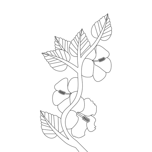 Vektor hibiskus-blume malseite mit strichzeichnungen blumenskizze vektor-illustration