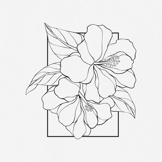 Hibiskusblüten-design, handgezeichnet im linienkunststil